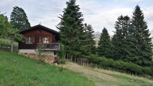 20150712_201118_Richtone(HDR)